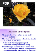 Anatomy of the Spirit