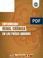 Informe de La Enfermedad Renal Crónica en Loa Países Andinos