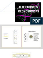 Alteraciones Cromosomicas - Introducción - 2021 - Histología