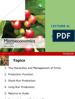 Lecture 6 - Theory of The Firm