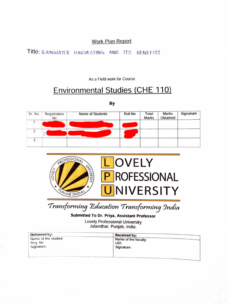 Che Work Plan | PDF