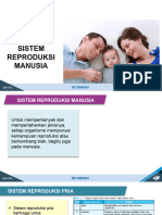 Sistem Reproduksi