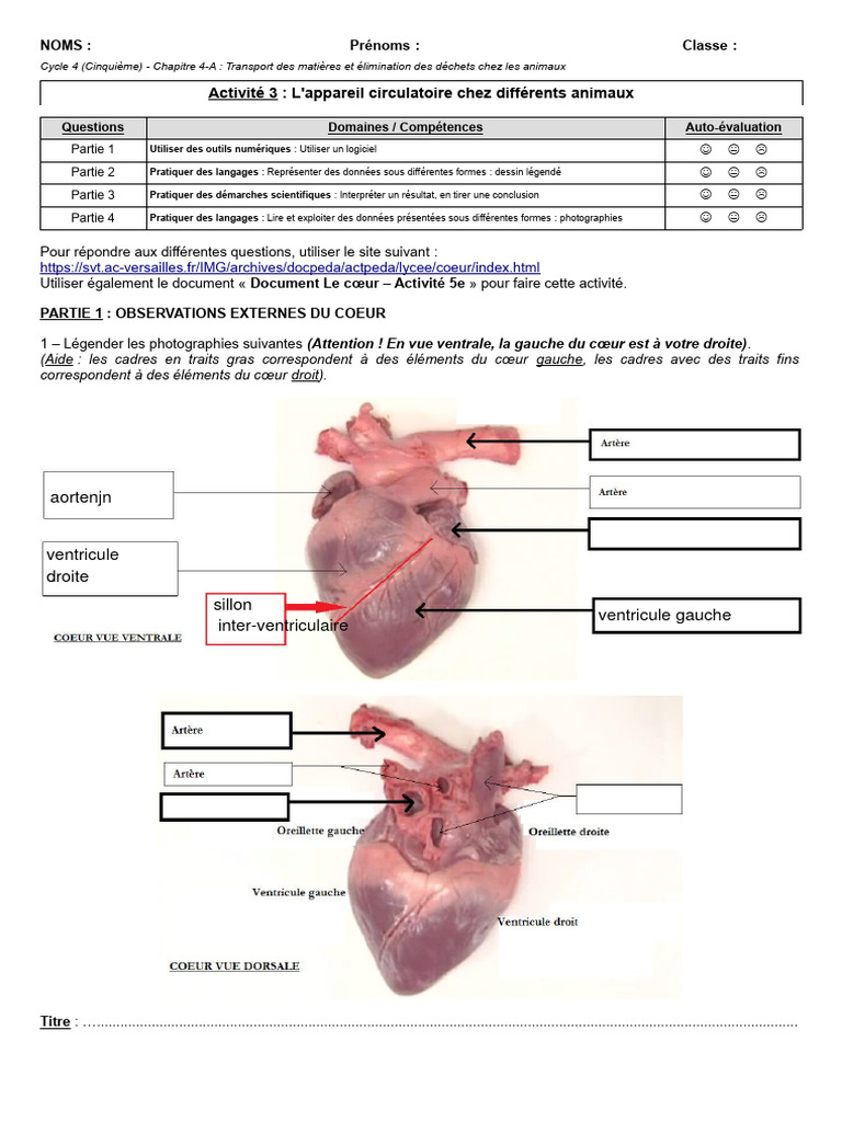 PHYSIOLOGIE ANIMALE, image size:768x1024