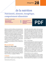 Bases de La Nutrition