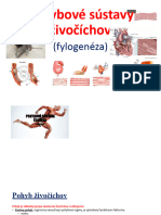 Fylogenézaživ4 - Pohybová Sústava Živočíchov