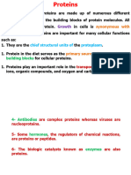 Proteins - Enzymes