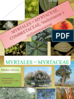 12.3. Myrtales