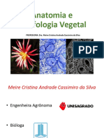 Apresentação e Normas Da Disciplina - Anatomia e Morfologia Vegetal - 07-02-24