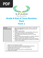 Grade R SBA Exemplar Booklet | PDF | Learning | Educational Assessment