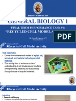 Final Term Peta #1 - Cell Model