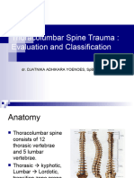 BTCLS Trauma Spine