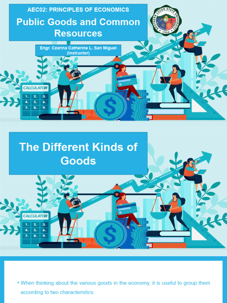 Public Goods and Economic Principles | PDF | Profit (Economics ...