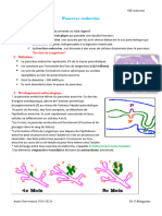 Pancreas Endocrine