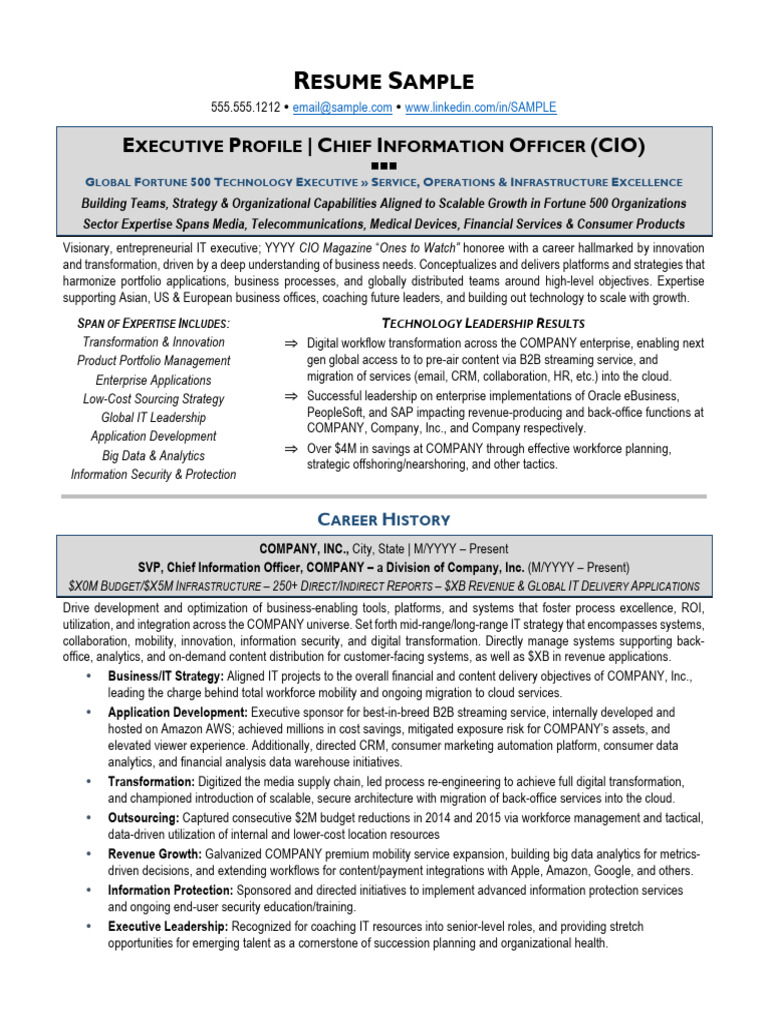 CIO Resume Sample 2016 PDF - 1711736610
