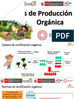 04 - Normas de Producion Organica