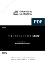 El Proceso Común - Penal I