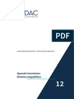 PDF. Anatomofisiología y Patolog Básicas. Tema 12