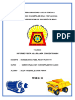 Darwin de La Cruz Ore - Informe Concentramin