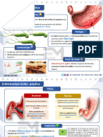 Enfermedad Ácido - Péptica
