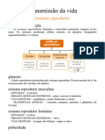 Resumos Teste 5