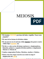 Meiosis 1