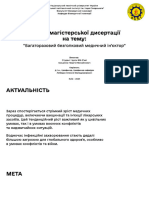 ГриценкоГМ БМ21мп ПрезентаціяМД