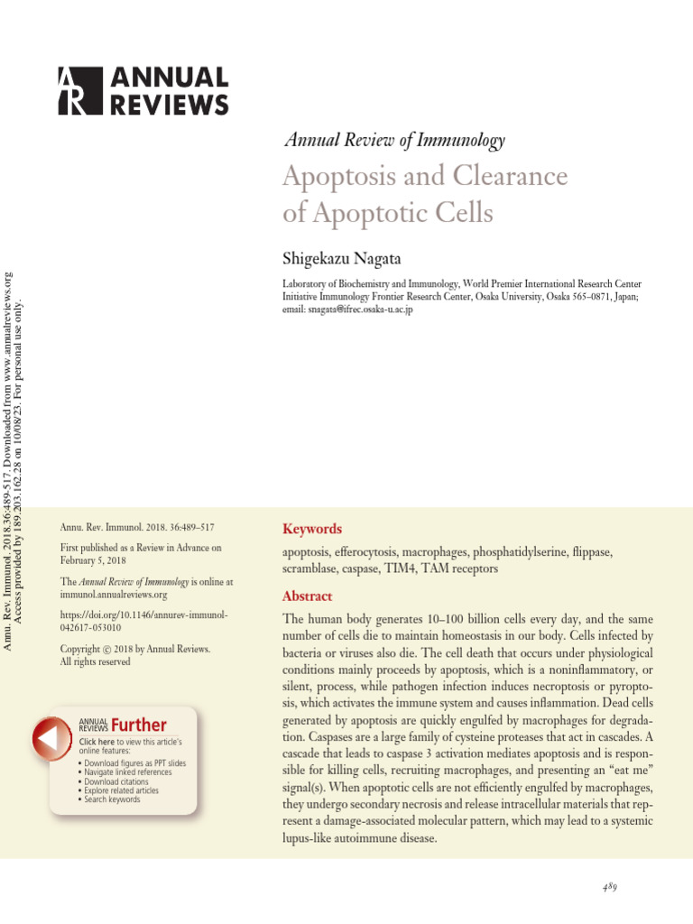 Apoptosis and Clearance of Apoptotic Cells | PDF | Science & Mathematics