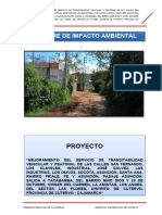 Estudio de Impacto Ambiental