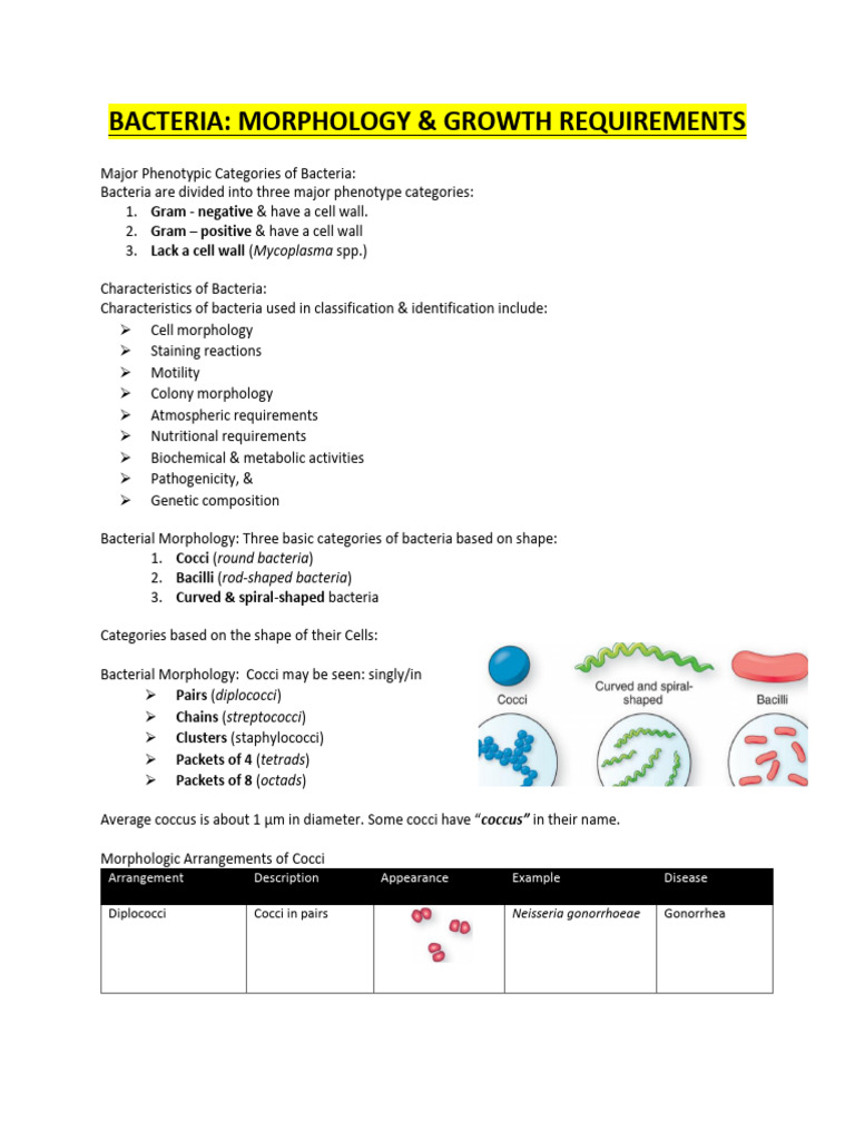 Bacterial Morphology and Growth Factors | PDF | Gram Negative Bacteria ...
