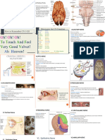 Assessing Cranial Nerve