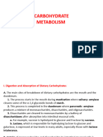 Presentation Carbohydrate Metabolism