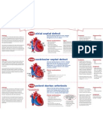 Poster Heart Defects