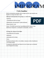 Aps Resumen Terminado