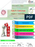 Embryologie 2