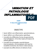 Inflammation II 2024 OK