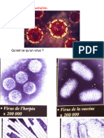 Chapitre 1 - Agents Pathogènes Et Maladies Vectorielles