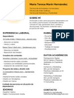 Currículum Marketing Manager Profesional Amarillo