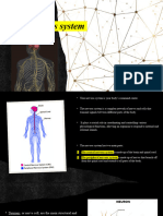 The Nervous System