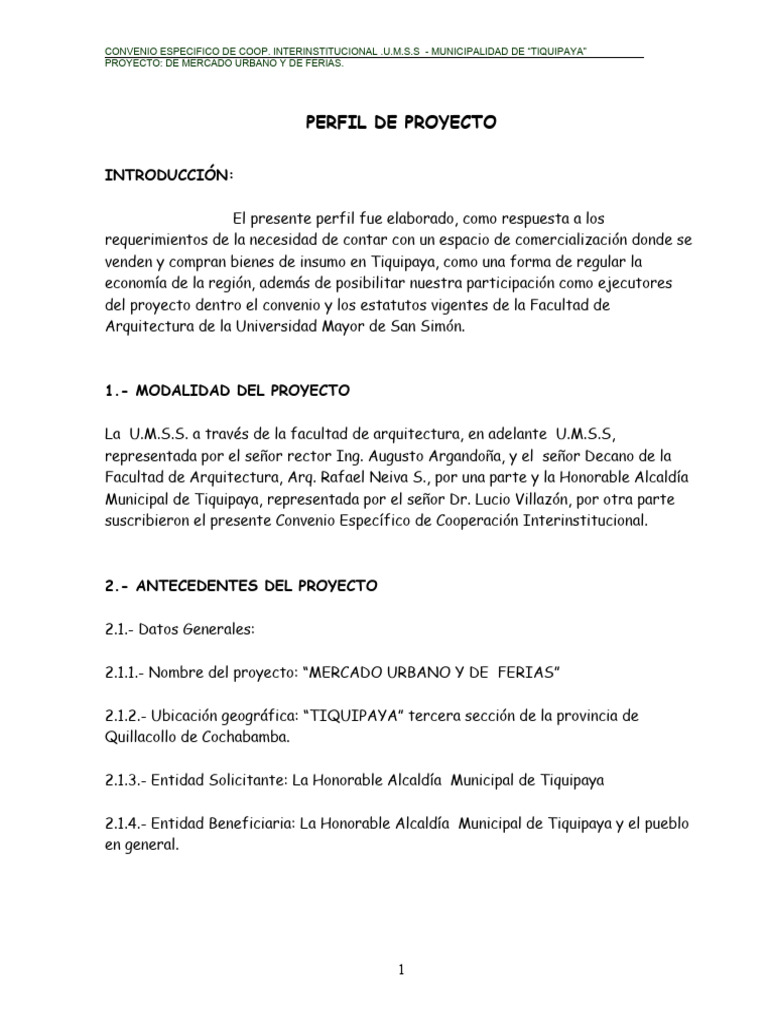 Perfil de Proyecto M.U.T. | PDF