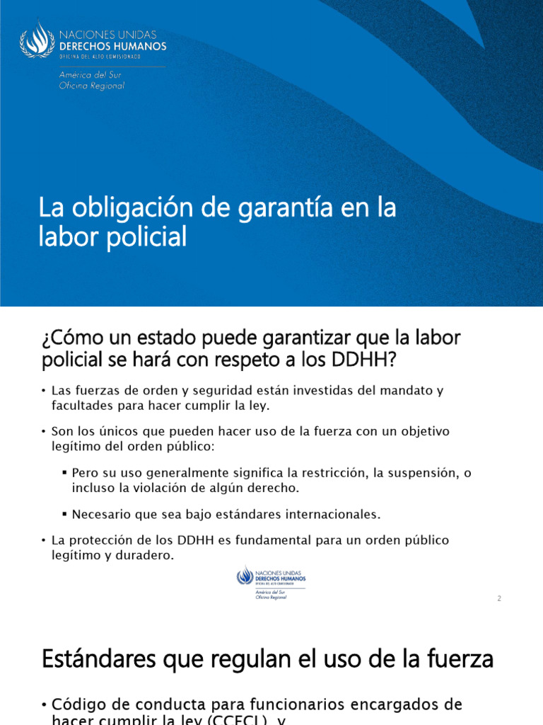 Garantía de DDHH en la labor policial | PDF | Policía | Derechos humanos