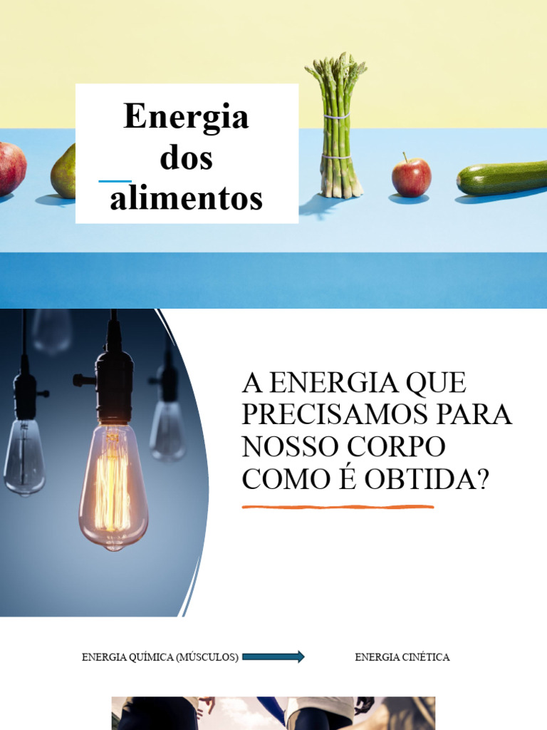 Energia Dos Alimentos | PDF