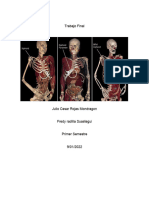 Trabajo Final de Anatomia