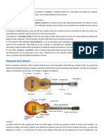 Clases de Guitarra