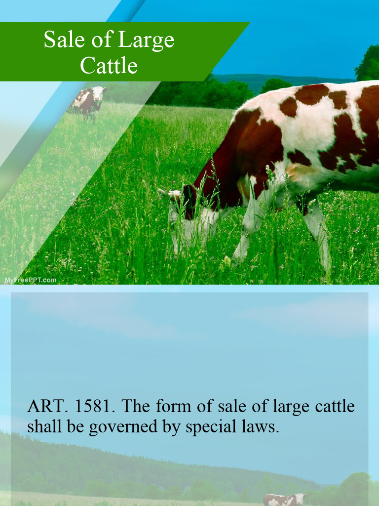 Large Cattle Sale Regulations and Laws | PDF | Lease | Private Law