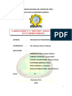 Informe Medio Pororso Terminado12 1 1