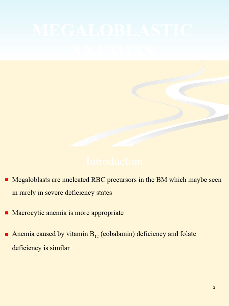 Megaloblastic Anemias PDF Vitamin B12 Anemia