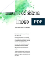 Anatomía Del Sistema Límbico