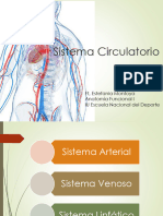 S. Circulatorio