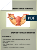 Anatomia Sistema Reproductor Femenino