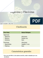 Togavirus y Flavivirus